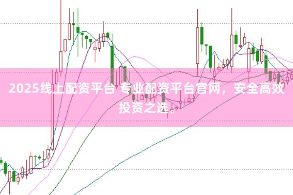 2025线上配资平台 专业配资平台官网，安全高效投资之选。