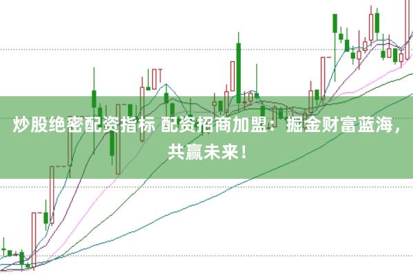 炒股绝密配资指标 配资招商加盟：掘金财富蓝海，共赢未来！