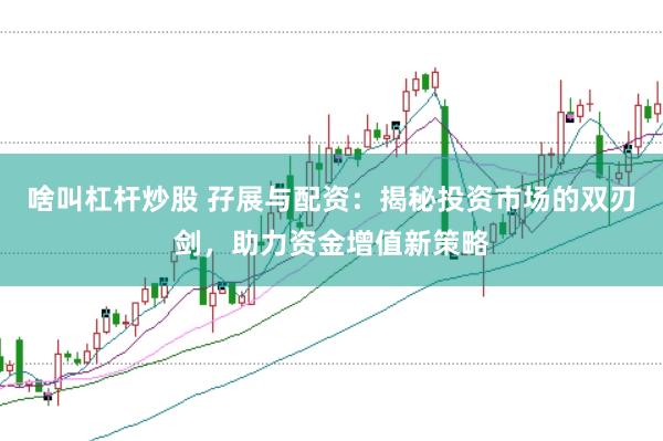啥叫杠杆炒股 孖展与配资：揭秘投资市场的双刃剑，助力资金增值新策略