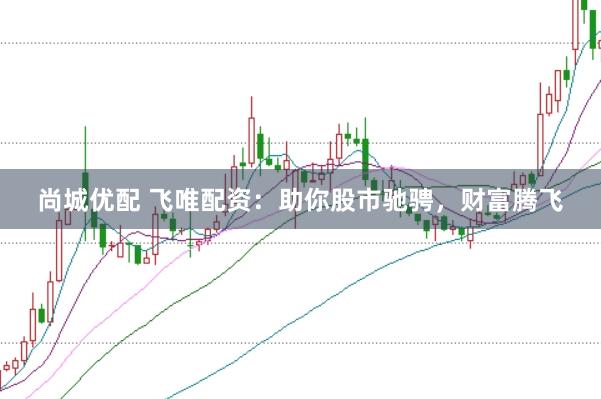 尚城优配 飞唯配资：助你股市驰骋，财富腾飞
