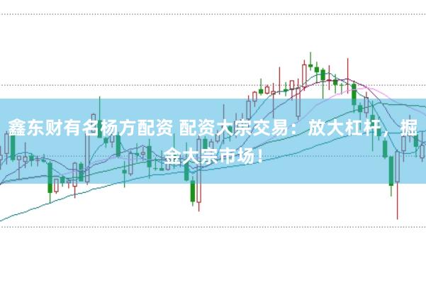 鑫东财有名杨方配资 配资大宗交易：放大杠杆，掘金大宗市场！