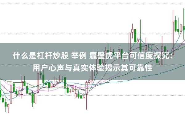 什么是杠杆炒股 举例 赢壁虎平台可信度探究：用户心声与真实体验揭示其可靠性