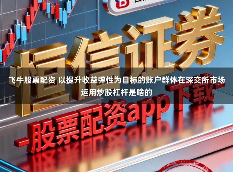 飞牛股票配资 以提升收益弹性为目标的账户群体在深交所市场运用炒股杠杆是啥的