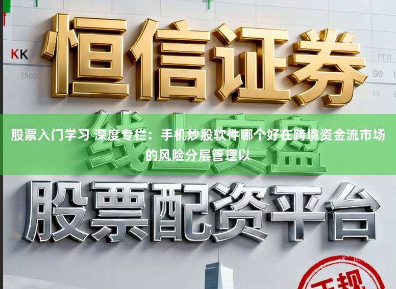 股票入门学习 深度专栏：手机炒股软件哪个好在跨境资金流市场的风险分层管理以