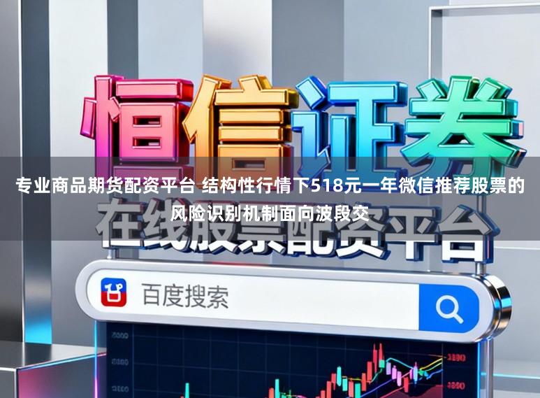 专业商品期货配资平台 结构性行情下518元一年微信推荐股票的风险识别机制面向波段交