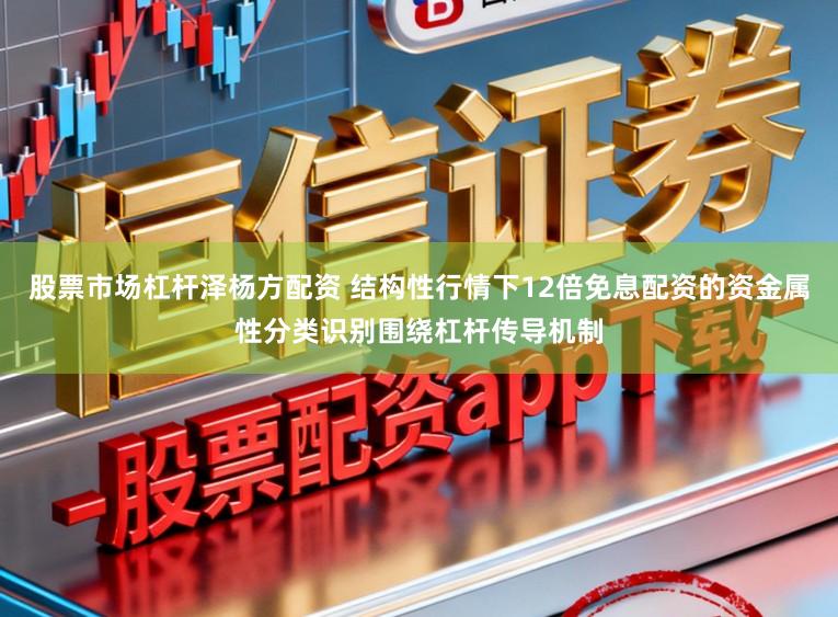 股票市场杠杆泽杨方配资 结构性行情下12倍免息配资的资金属性分类识别围绕杠杆传导机制
